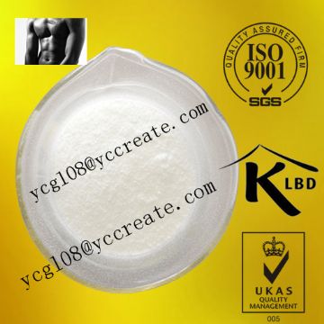 Testosterone Undecanoate 